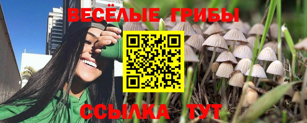 Беслан  Псилоцибиновые грибы ЛСД  Вход с VPN 