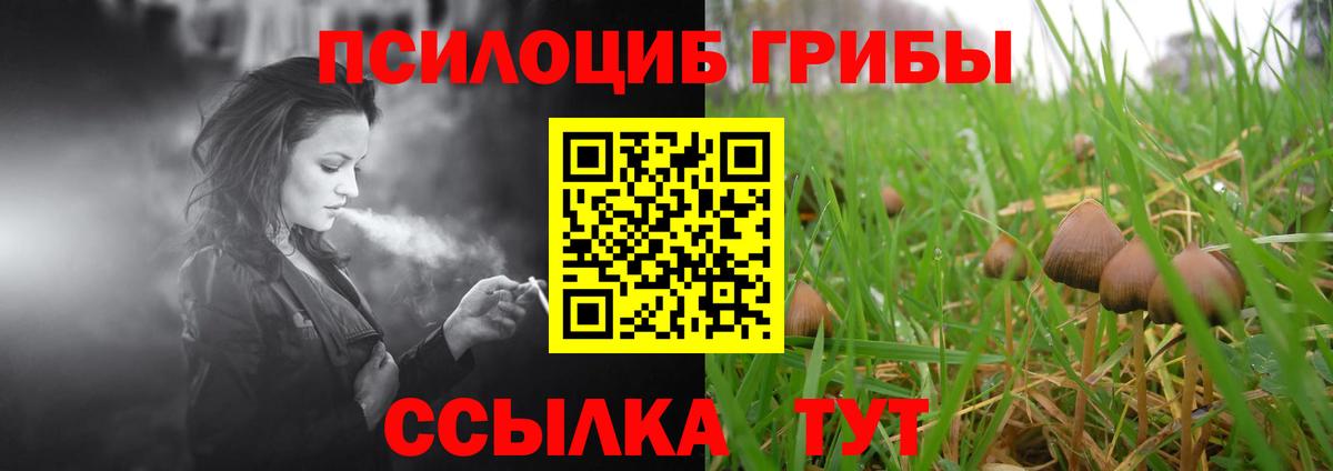 Псилоцибиновые грибы мицелий Беслан